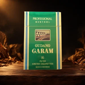 Gudang Garam Professional Menthol 16