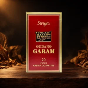 Gudang Garam Surya 20