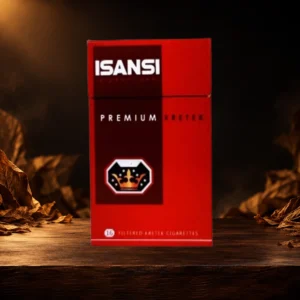 ISANSI INTERNATIONAL