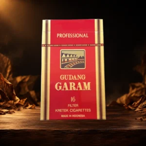 Gudang Garam Professional 16